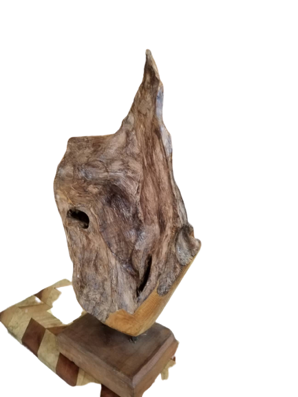 Teak Root on Stand | 2 Sizes Available