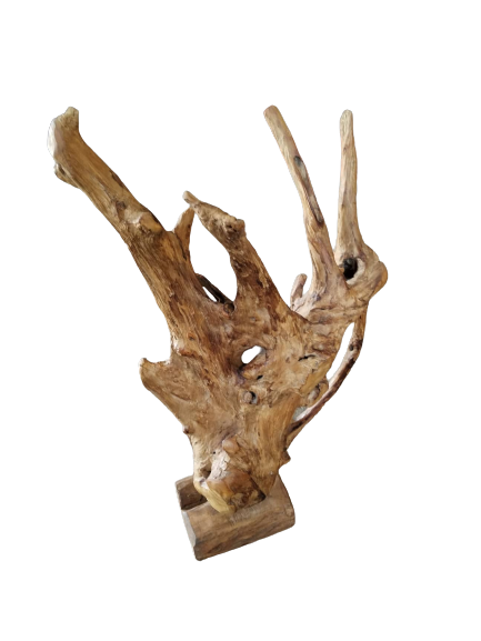 Teak Root on Stand | 2 Sizes Available