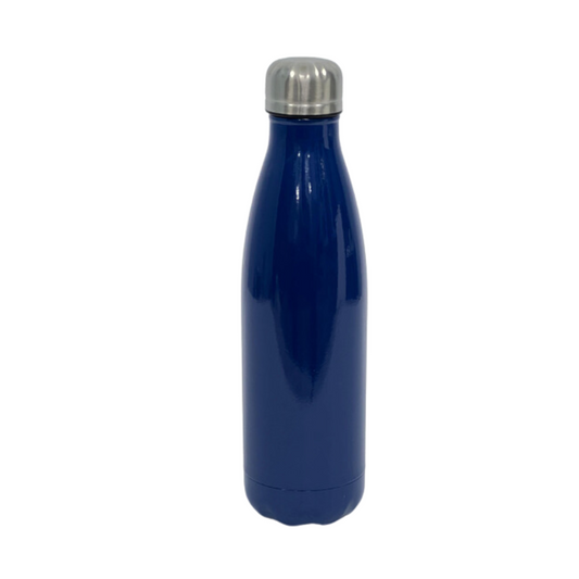 Termo de acero