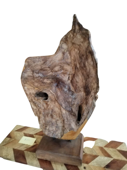 Teak Root on Stand | 2 Sizes Available