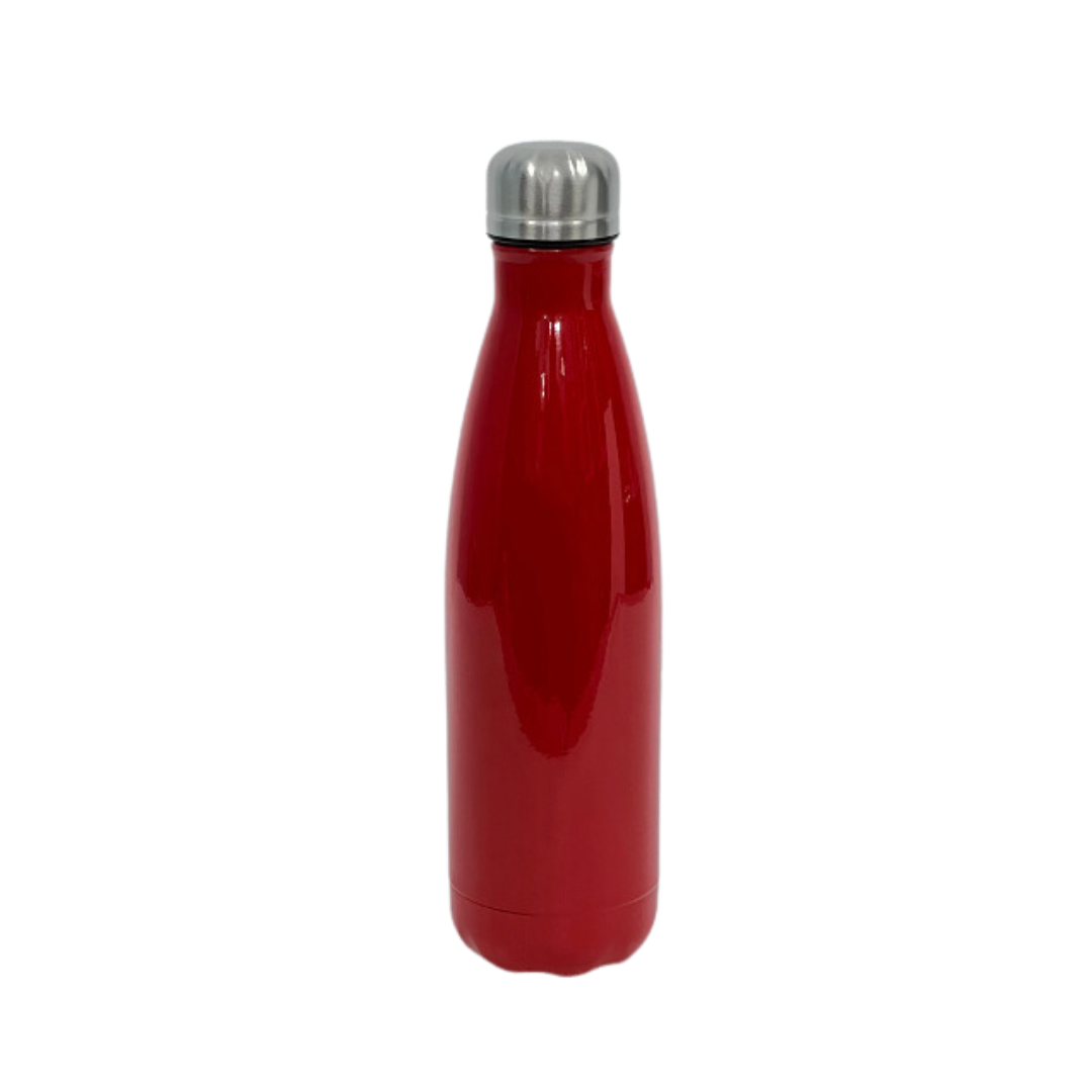 Termo de acero