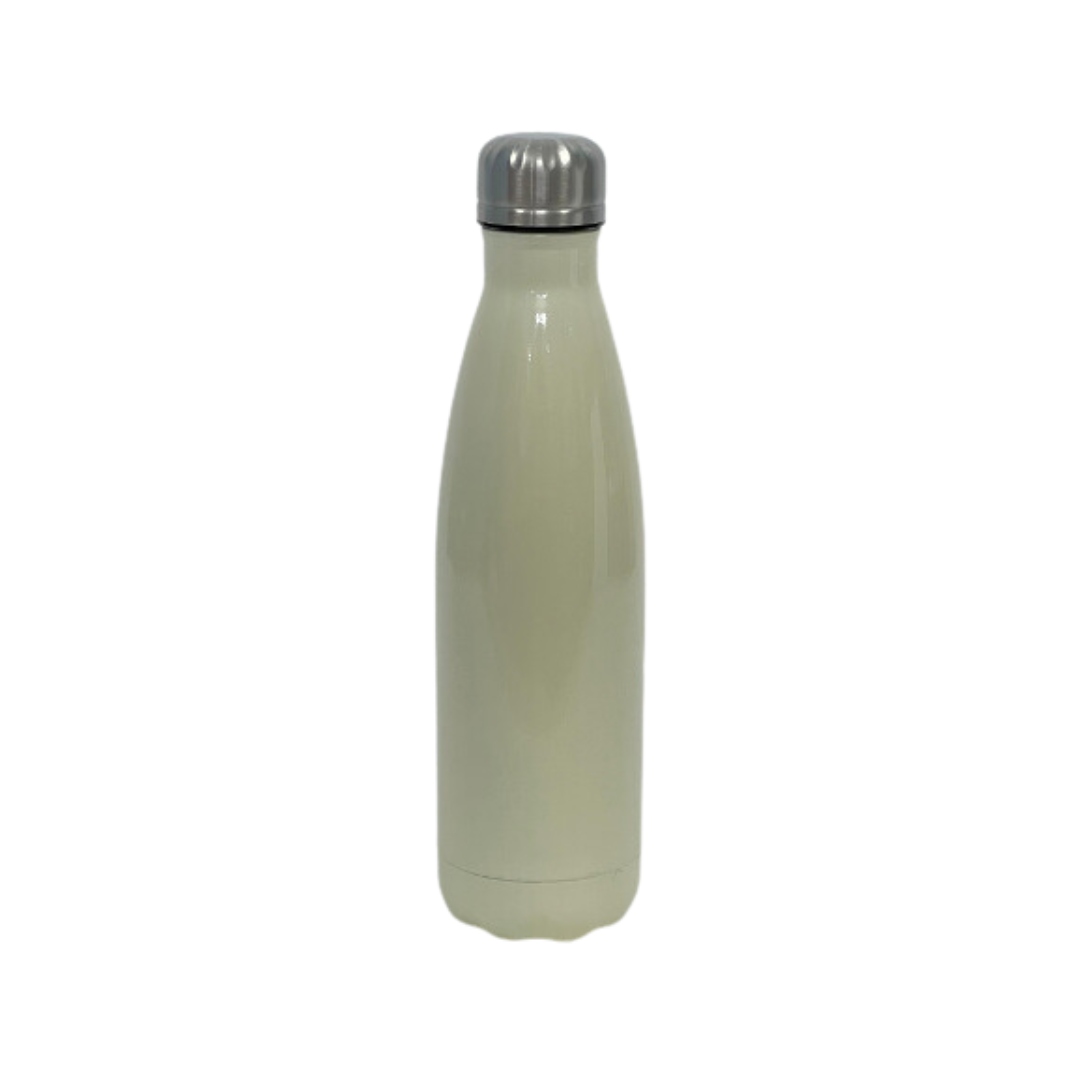 Termo de acero